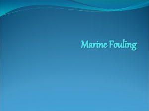Marine Fouling DEFINITION Any surface immersed in the