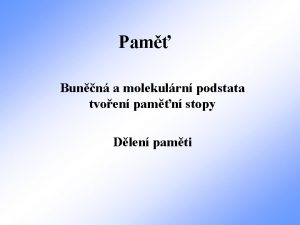 Pam Bunn a molekulrn podstata tvoen pamn stopy