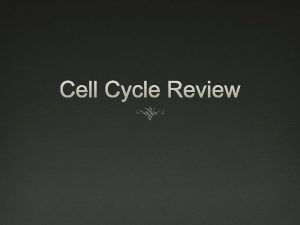 Cell Cycle Review During this stage organelles replicate