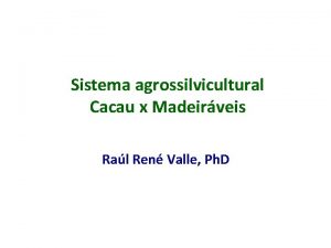 Sistema agrossilvicultural Cacau x Madeirveis Ral Ren Valle