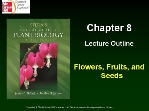 Chapter 8 Lecture Outline Flowers Fruits and Seeds