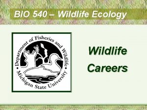 BIO 540 Wildlife Ecology Wildlife Careers Careers in