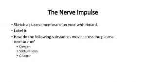 The Nerve Impulse Sketch a plasma membrane on