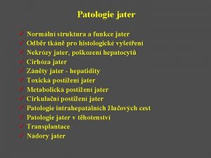 Patologie jater Normln struktura a funkce jater Odbr