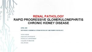 RENAL PATHOLOGY RAPID PROGRESSIVE GLOMERULONEPHRITIS CHRONIC KIDNEY DISEASE