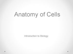 Anatomy of Cells Introduction to Biology The Discovery