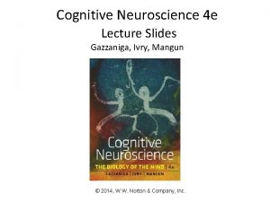 Cognitive Neuroscience 4 e Lecture Slides Gazzaniga Ivry