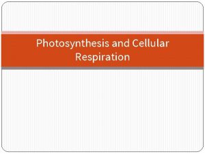 Photosynthesis and Cellular Respiration Photosynthesis and Cellular Respiration