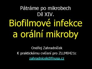 Ptrme po mikrobech Dl XIV Biofilmov infekce a