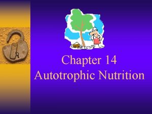 Chapter 14 Autotrophic Nutrition Autotrophic organisms use an