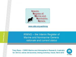 www obis org auirmng IRMNG the Interim Register