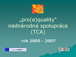 proequality nadnrodn spoluprca TCA rok 2005 2007 TCA