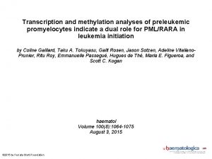 Transcription and methylation analyses of preleukemic promyelocytes indicate