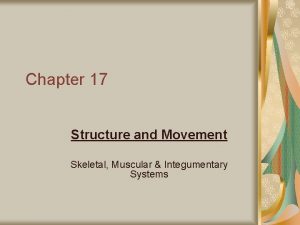 Chapter 17 Structure and Movement Skeletal Muscular Integumentary