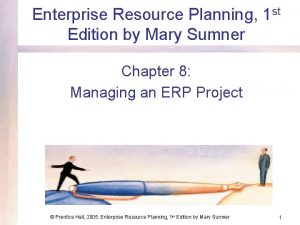 Enterprise Resource Planning 1 st Edition by Mary