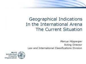 Geographical Indications In the International Arena The Current