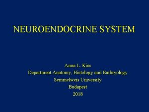 NEUROENDOCRINE SYSTEM Anna L Kiss Department Anatomy Histology