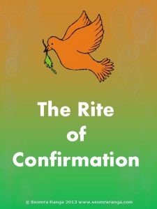 The Rite of Confirmation Seomra Ranga 2013 www