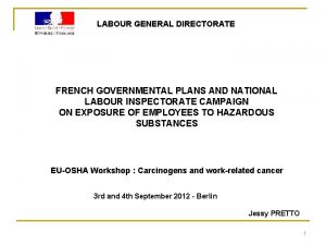 LABOUR GENERAL DIRECTORATE FRENCH GOVERNMENTAL PLANS AND NATIONAL