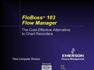 Flo Boss 103 Flow Manager TM The CostEffective