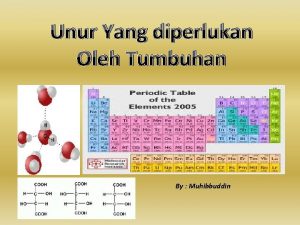 Unur Yang diperlukan Oleh Tumbuhan By Muhibbuddin Bagaimana