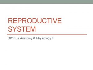 REPRODUCTIVE SYSTEM BIO 139 Anatomy Physiology II Functions