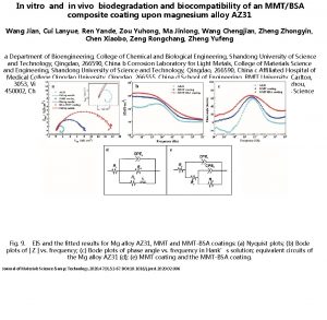 In vitro and in vivo biodegradation and biocompatibility