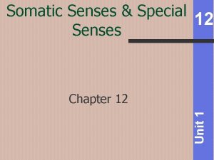 Somatic Senses Special 12 Senses Unit 1 Chapter