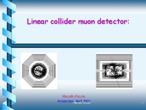 Linear collider muon detector Marcello Piccolo Amsterdam Marcello