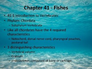 Chapter 41 Fishes 41 1 Introduction to Vertebrates