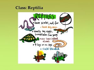 Class Reptilia Keratin is a protein that binds