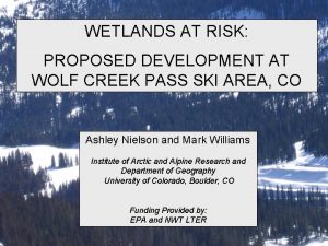 WETLANDS AT RISK PROPOSED DEVELOPMENT AT WOLF CREEK
