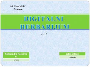 O ura Jaki Zrenjanin DIGITALNI HERBARIJUM 2015 Aleksandra