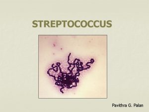 STREPTOCOCCUS Pavithra G Palan n n n Streptococci
