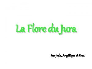 La Flore du Jura Par Jade Anglique et
