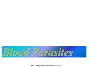 Blood Parasites Raed Z Ahmed Medical Parasitology Lab