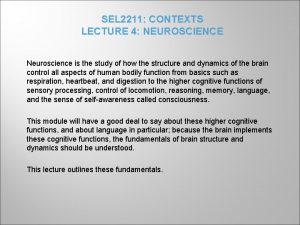 SEL 2211 CONTEXTS LECTURE 4 NEUROSCIENCE Neuroscience is