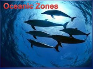 Oceanic Zones I The Pelagic Zone A Begins