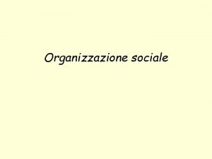 Organizzazione sociale La maggior parte dei primati trascorrono