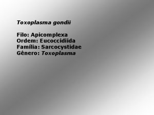 Toxoplasma gondii Filo Apicomplexa Ordem Eucoccidiida Famlia Sarcocystidae