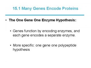 15 1 Many Genes Encode Proteins The One