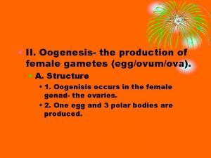 II Oogenesis the production of female gametes eggovumova