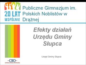 Publiczne Gimnazjum im Polskich Noblistw w Drnej Efekty