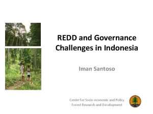 REDD and Governance Challenges in Indonesia Iman Santoso