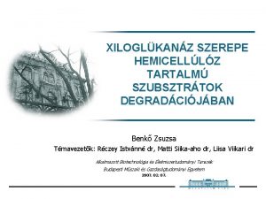 XILOGLKANZ SZEREPE HEMICELLLZ TARTALM SZUBSZTRTOK DEGRADCIJBAN Benk Zsuzsa