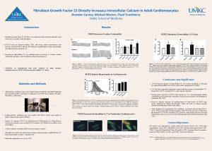 Fibroblast Growth Factor 23 Directly Increases Intracellular Calcium