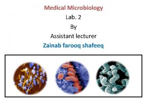 Medical Microbiology Lab 2 By Assistant lecturer Zainab
