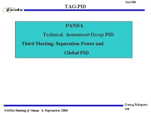 TAGPID PANDA Technical Assessment Group PID Third Meeting