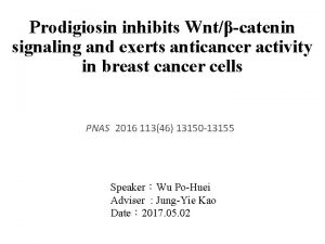 Prodigiosin inhibits Wntcatenin signaling and exerts anticancer activity