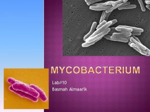 Lab10 Basmah Almaarik It has many species one